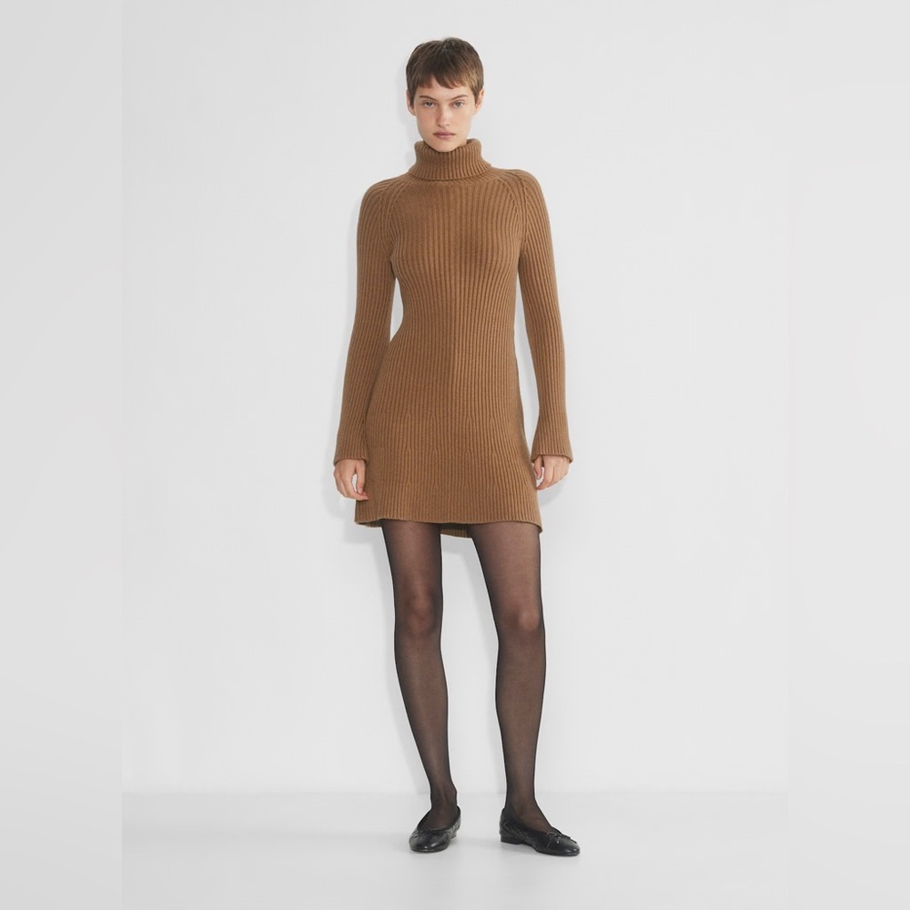 Aritzia Sunday Best Rhapsody Dress